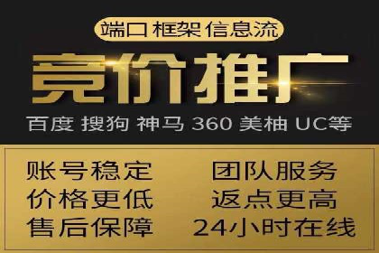 成功SEM代理案例：精准投放的策略
